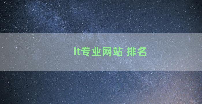 it专业网站 排名